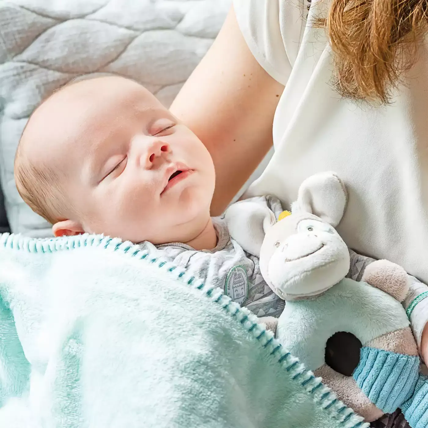 Greifling Pferd Tim - Jamouz