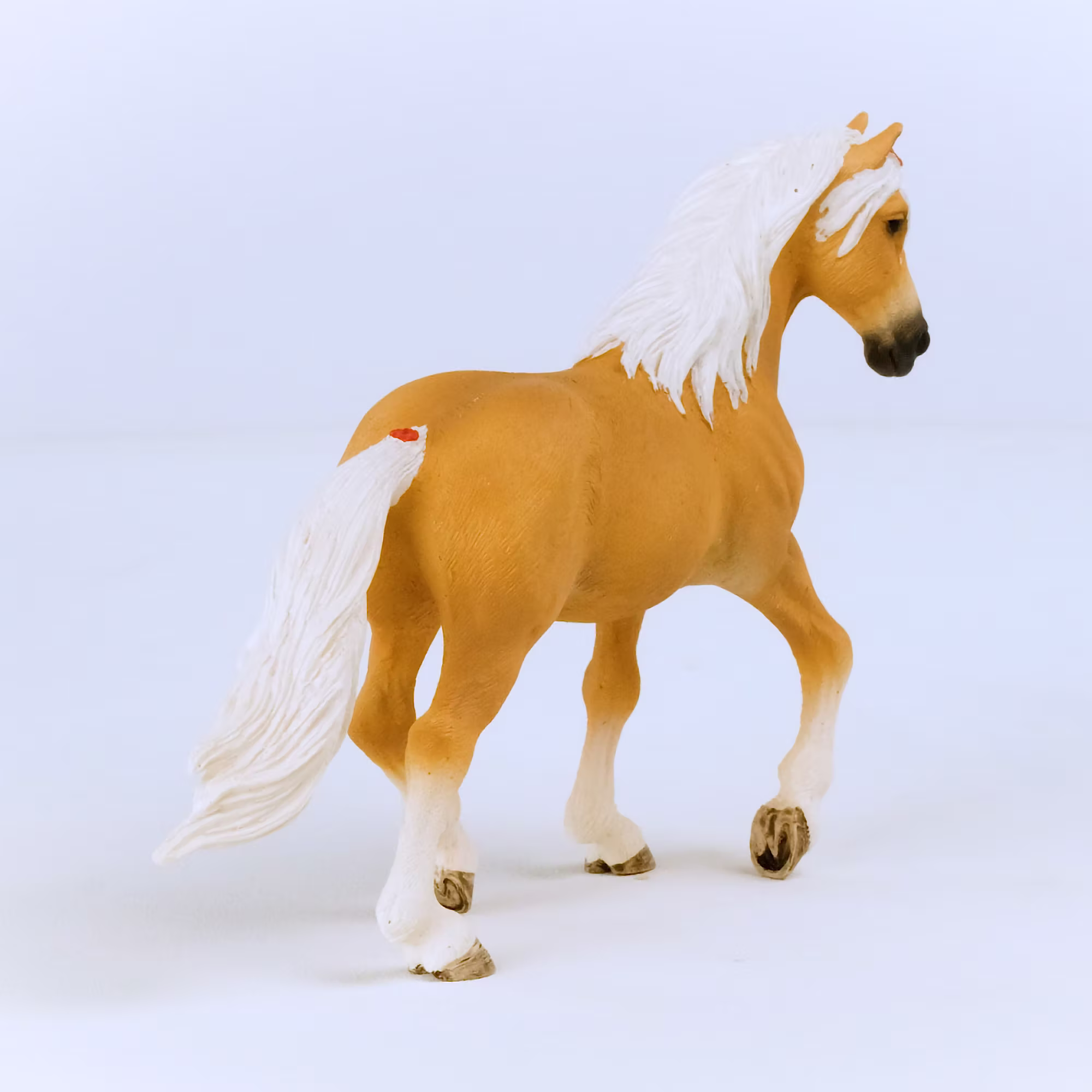 Haflinger Stute - Jamouz