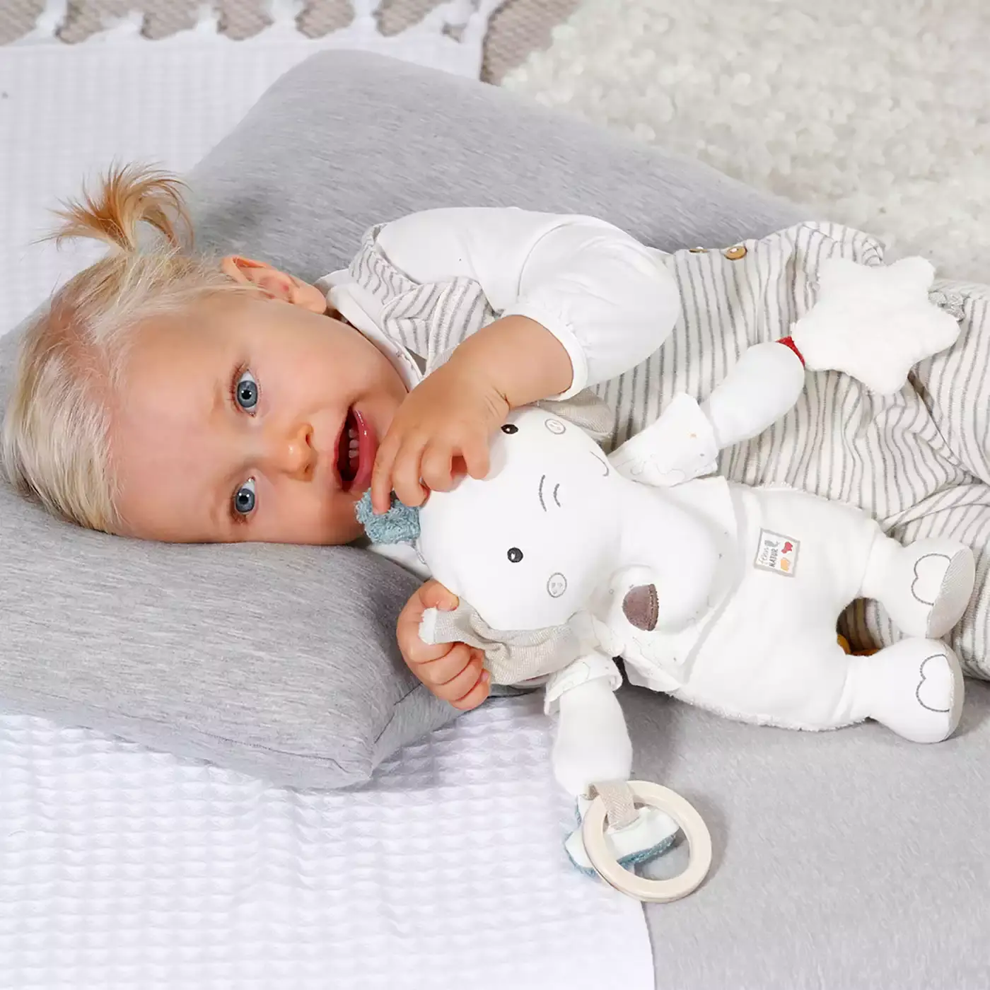 Activity-Elefant fehnNATUR - Jamouz