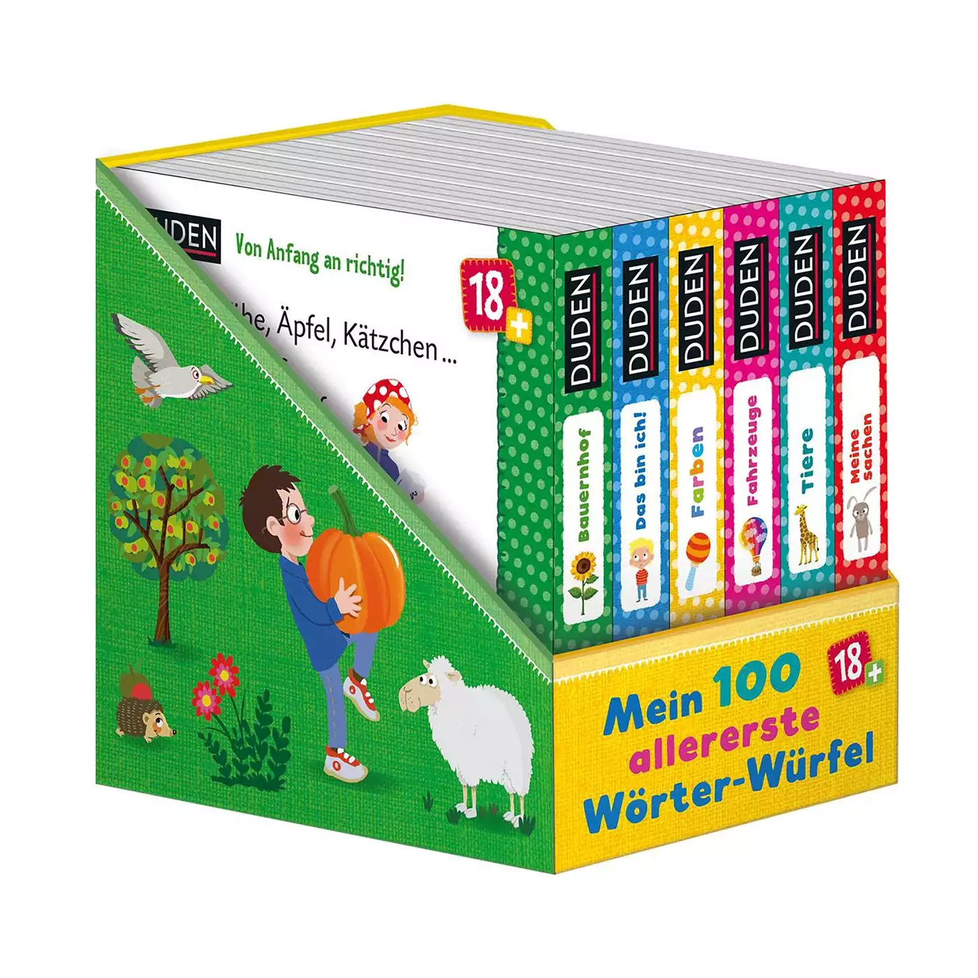 Meine 100 allererste Wörter-Würfel - Jamouz