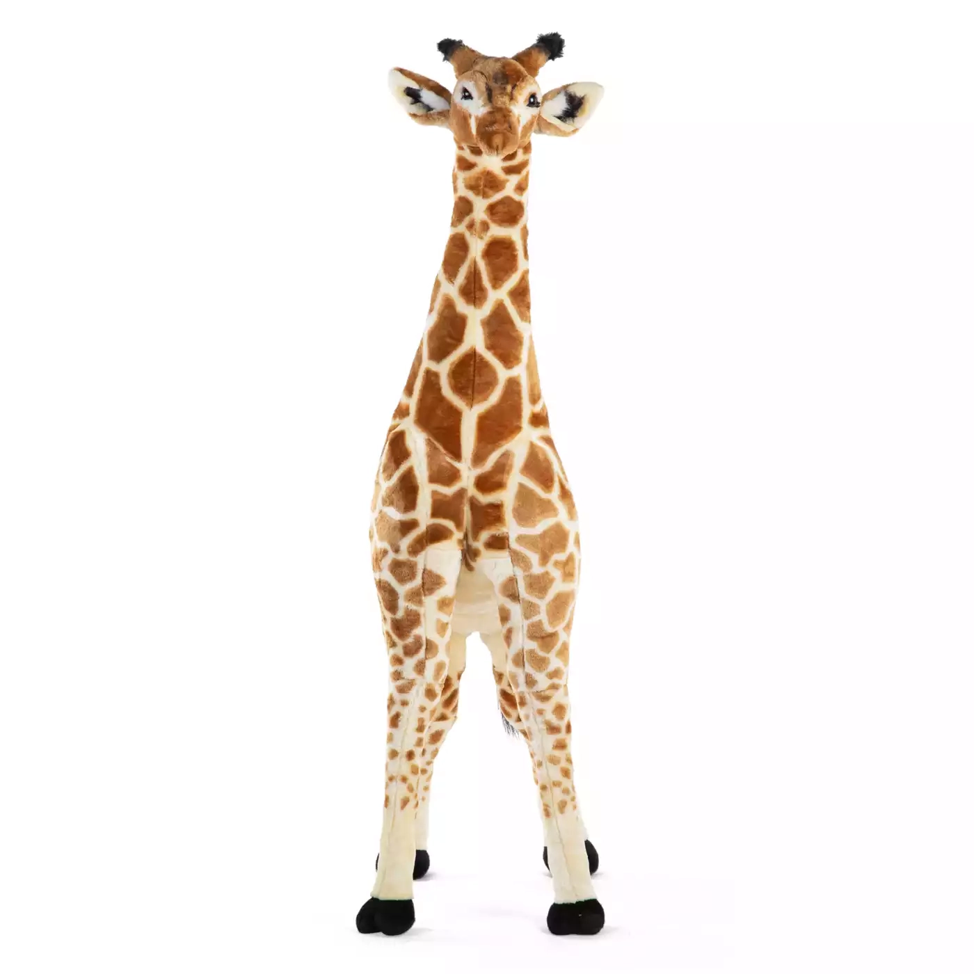 Stehende Giraffe - Jamouz