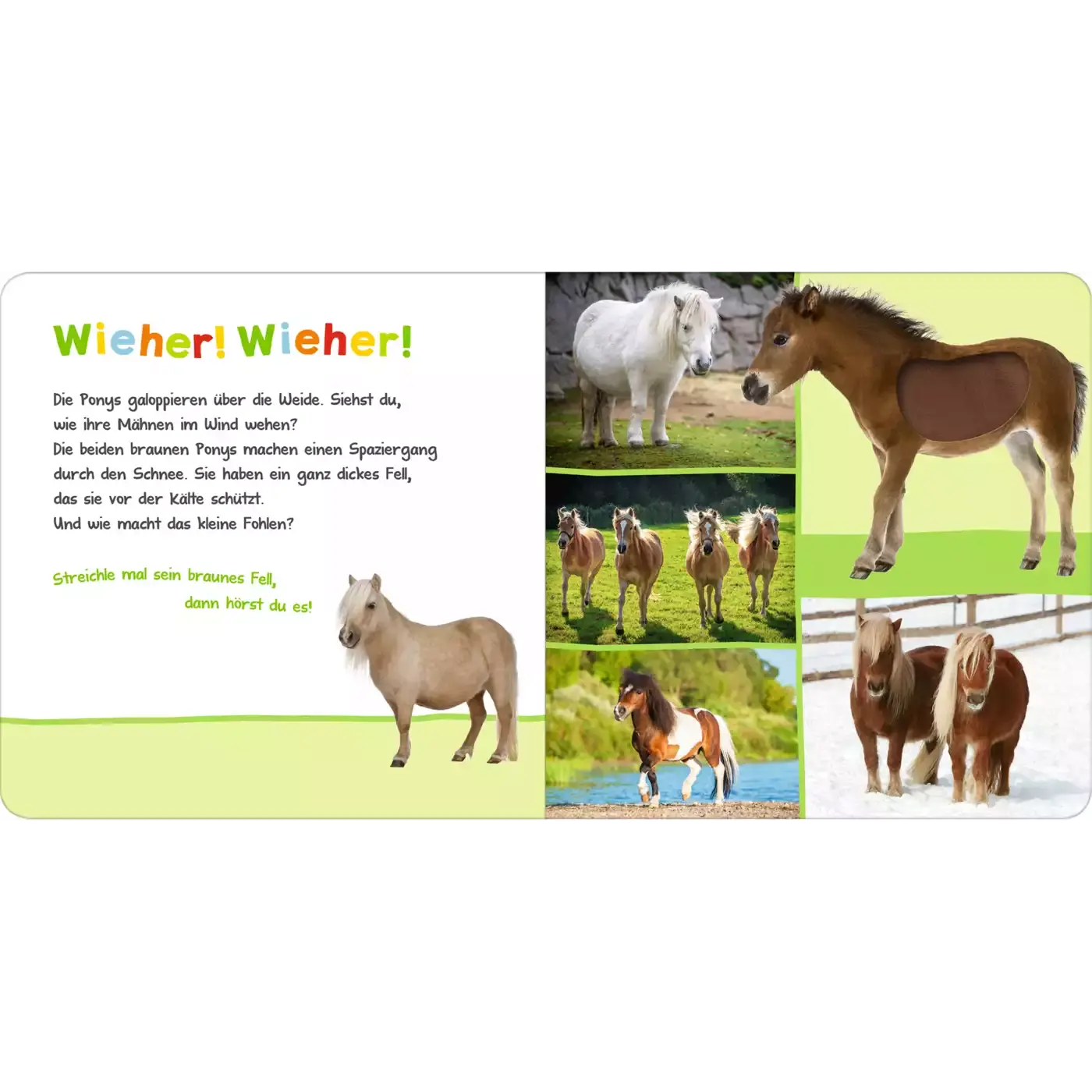 Hör mal rein Streicheltiere - Jamouz