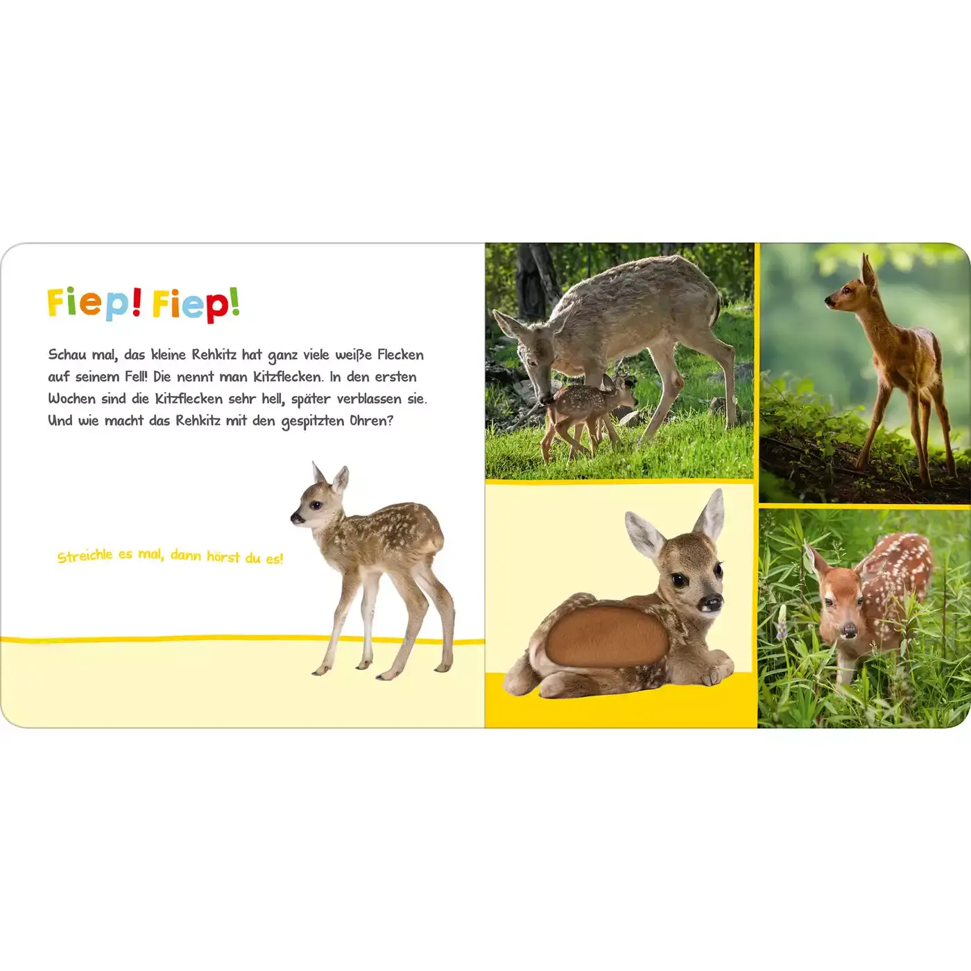 Hör mal rein, wer kann das sein? Tierbabys - Jamouz