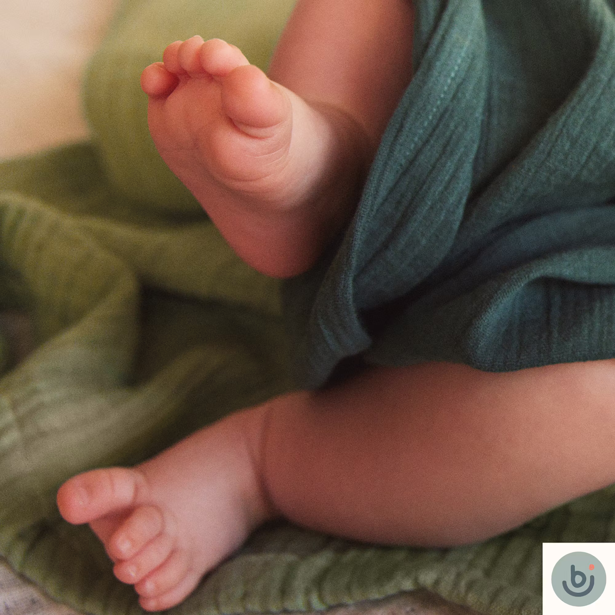 3er Pack Mulltuch Grün - Jamouz