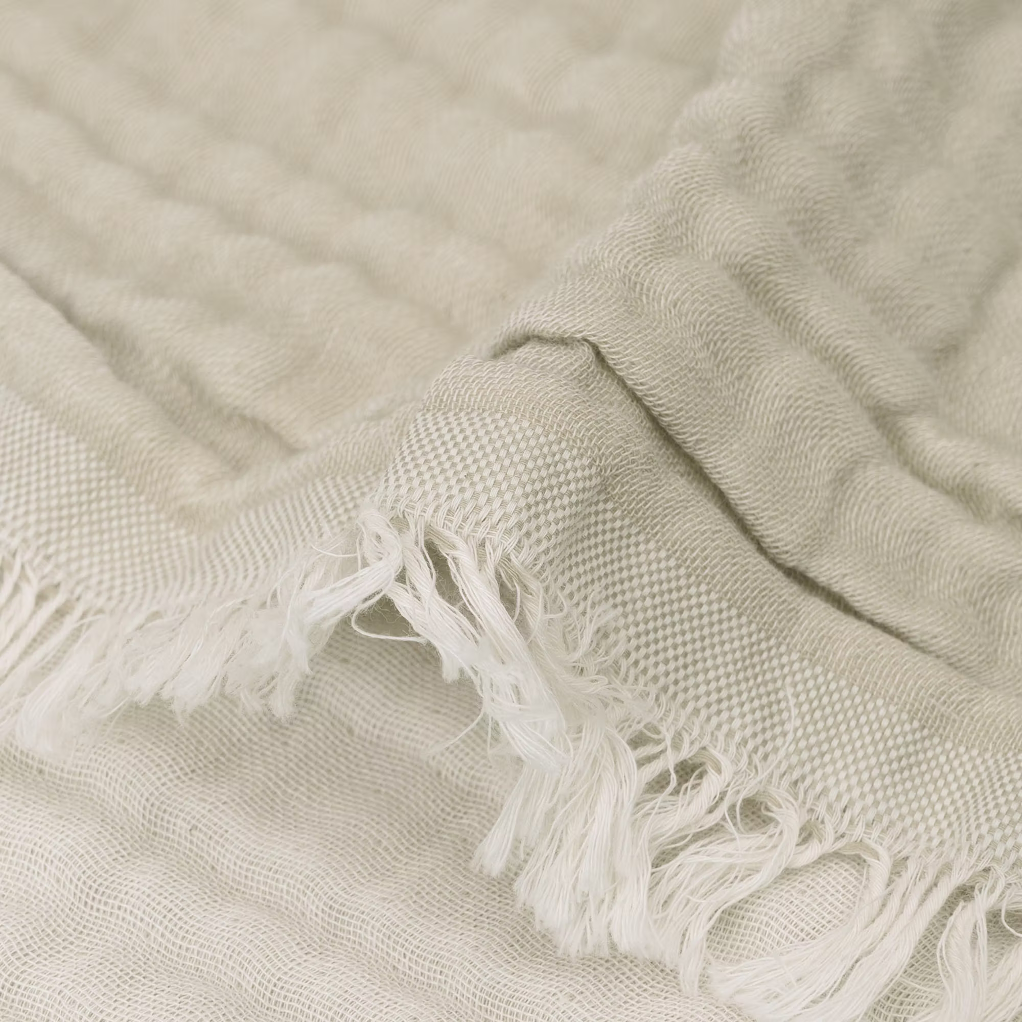 Mulldecke Fringe - Jamouz