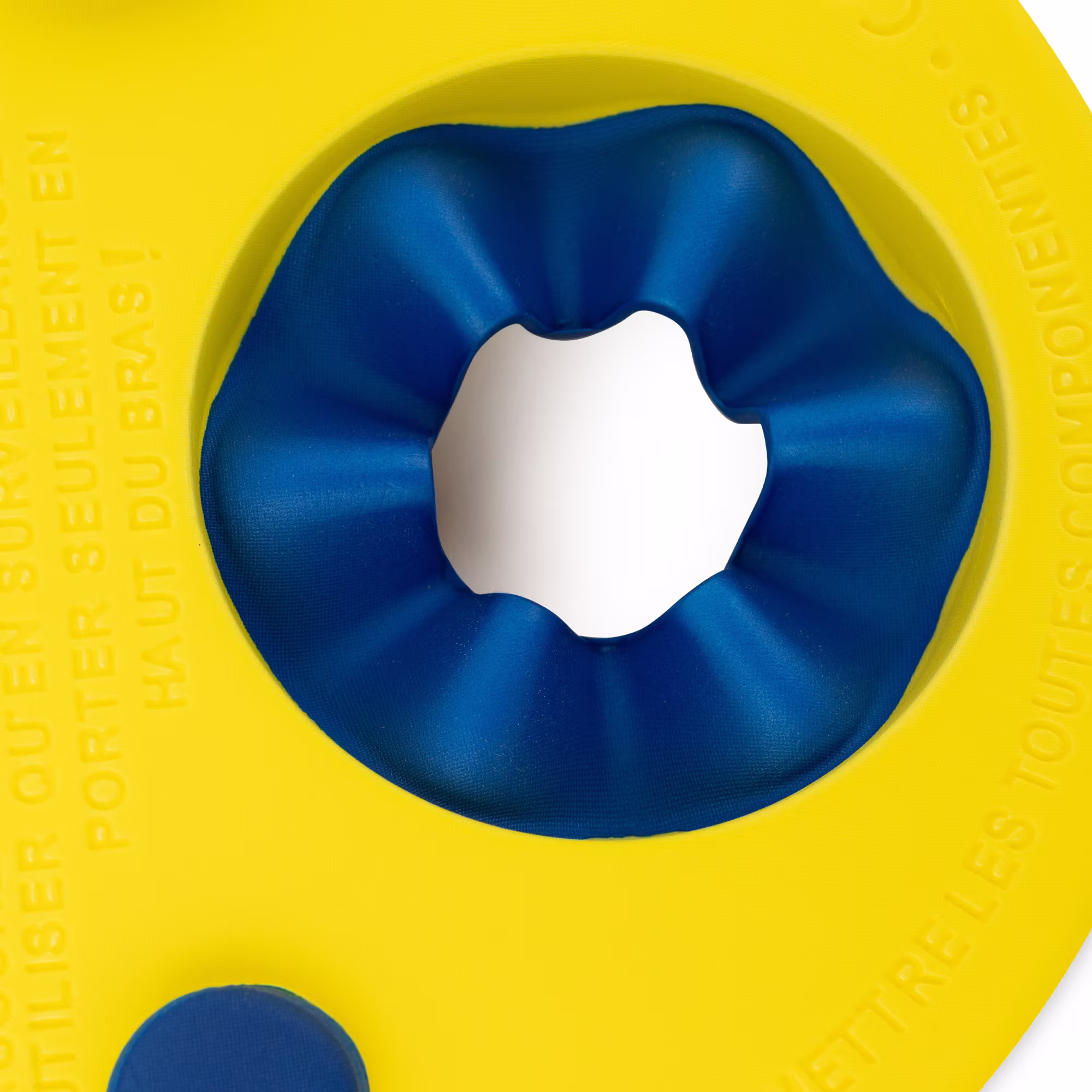 Delphin Schwimmscheiben - Jamouz