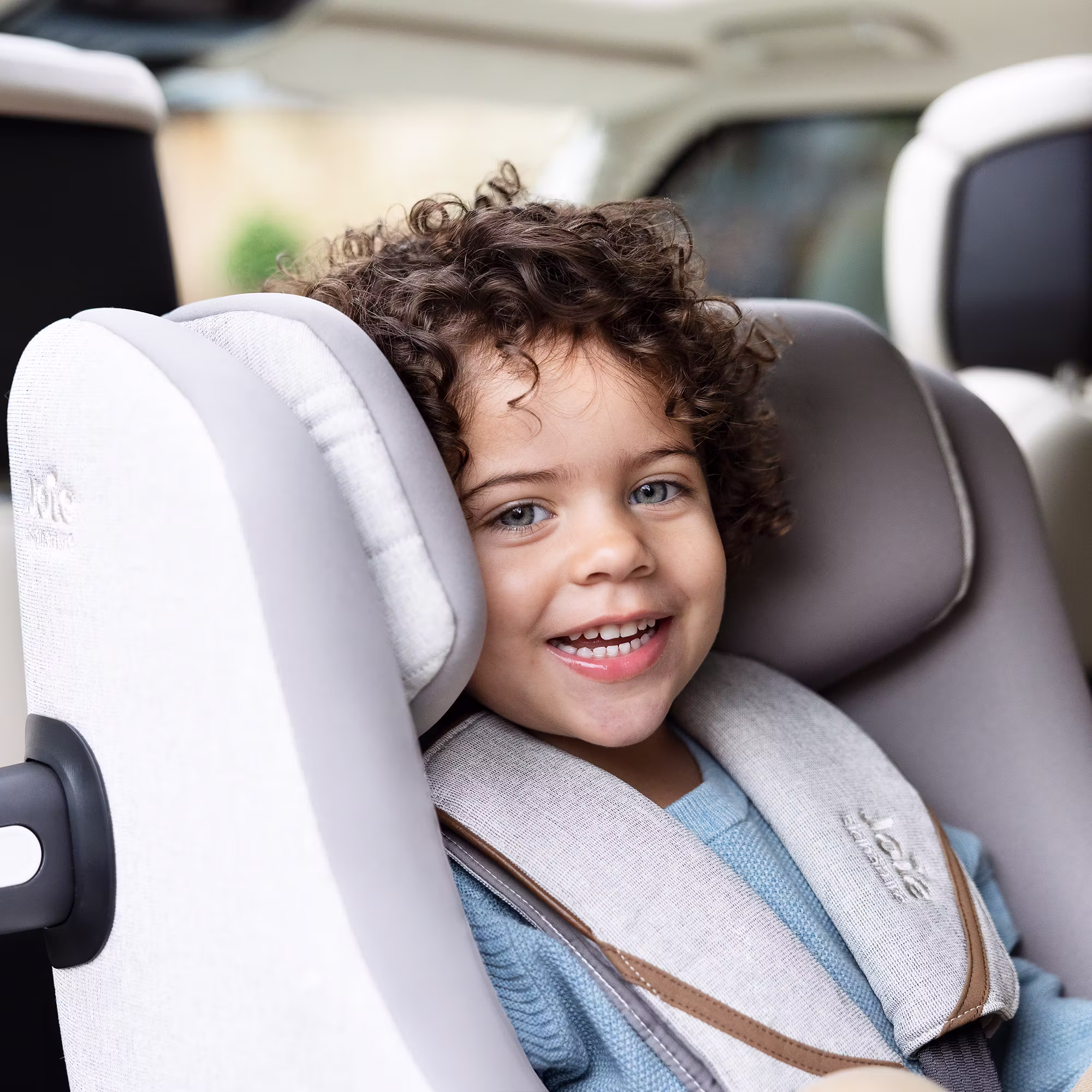 i-Harbour Pine - Jamouz