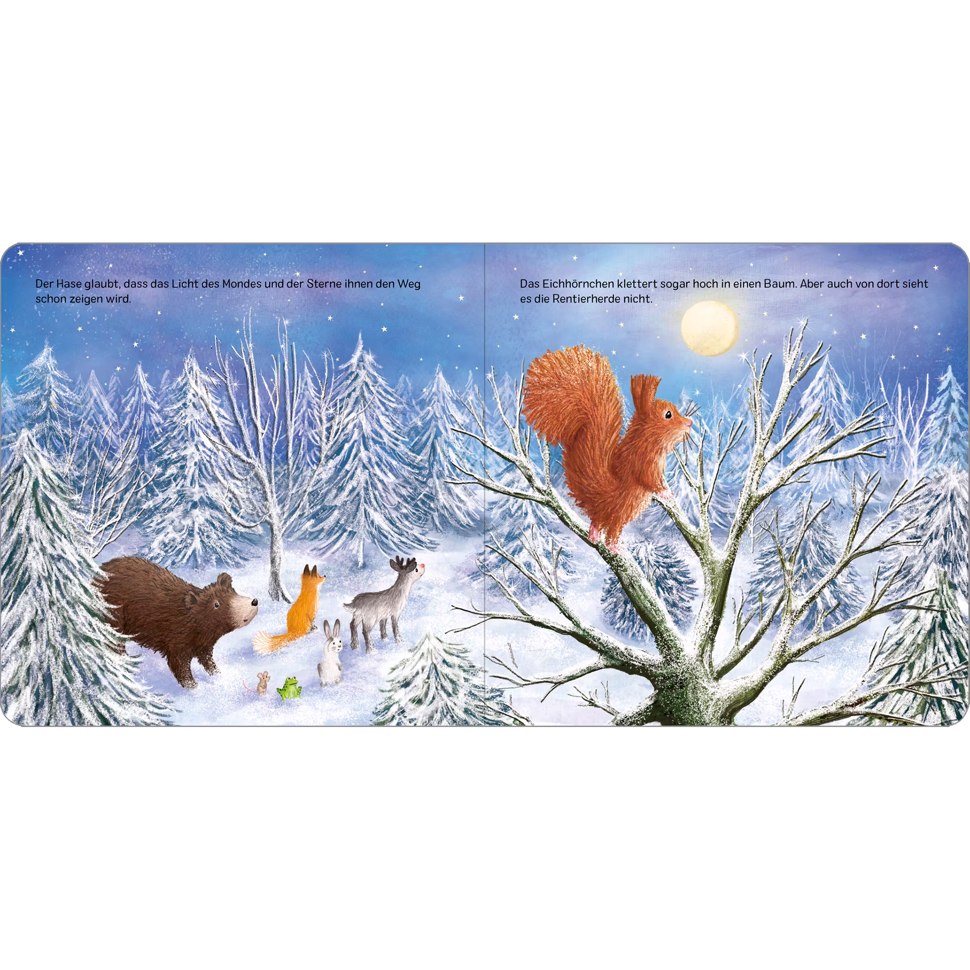 Das verlorene Rentier - Jamouz