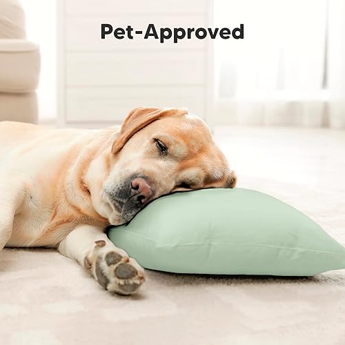 Toddler Pillow with Pillowcase - 13x18 My Little Cuddly Pillow, Viscose Derived From Bamboo Nursery Toddler Pillows for Sleeping,Kids Pillow,Small Travel Pillows,Mini Toddler Bed Pillow (Meadow) - Jamouz