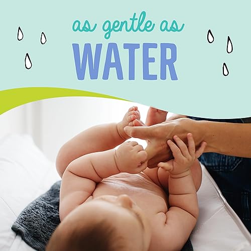 Seventh Generation Baby Wipes Sensitive Protection with Snap Seal Diaper Wipes 768 Count - Jamouz