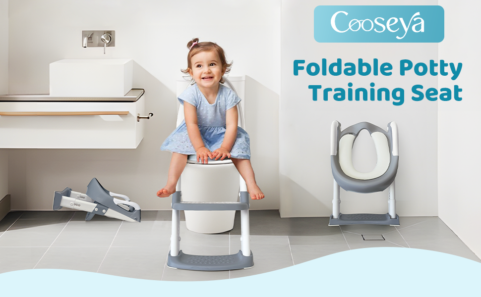 potty training seat