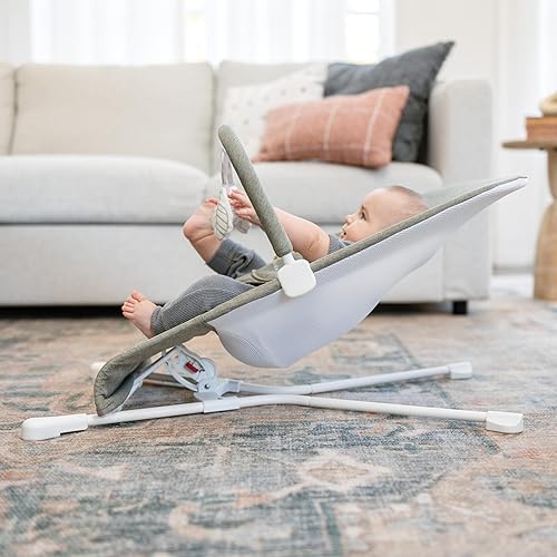 Baby Delight Highland Baby Bouncer | Infant | 0 – 6 Months | 3-Position Recline | Pebble Grey - Jamouz