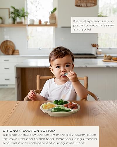 Hippypotamus Toddler Plates with Suction - 100% Food-Grade Silicone Baby Plates - Microwave & Dishwasher Safe - BPA Free - Set of 3 (Sage/Blush/Nude) - Jamouz