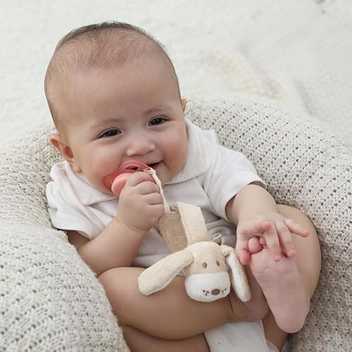 Pacifier Clip, 2 Pack Baby Pacifier Holder for Boys and Girls Fits Many Pacifiers & Baby Teething Toys, Ideal Baby Gift (Puppy & Bunny) - Jamouz