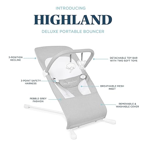 Baby Delight Highland Baby Bouncer | Infant | 0 – 6 Months | 3-Position Recline | Pebble Grey - Jamouz