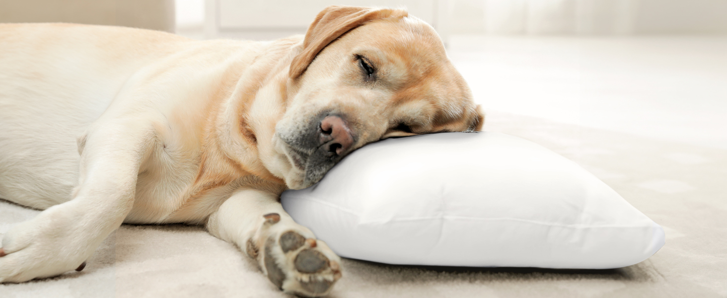 toddler pillow pillows for sleeping 2 year old small travel essential pillowcase daycare kids