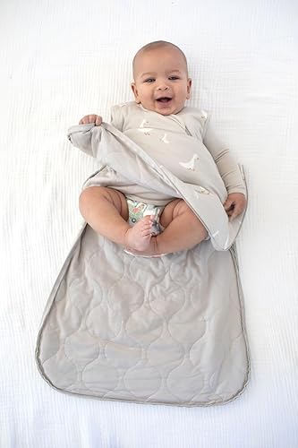 GUNAMUNA Unisex Baby Sleep Bag, Sleep Sack Sleeping Bag for Infants Toddlers, Easy Changing Diaper Zipper, Nap Time, 1.0 TOG - Jamouz
