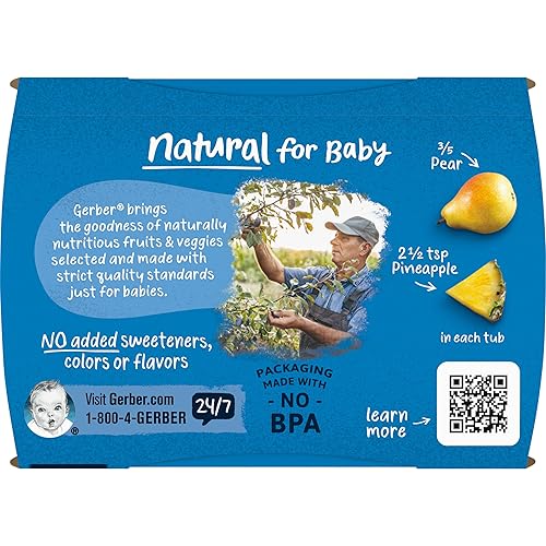 Gerber 2nd Foods Banana Blackberry Blueberry 4 Ounce Tubs, 2 Count (Pack of 8) - Jamouz