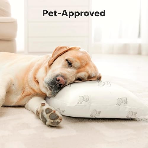 Toddler Pillow with Pillowcase - 13x18 My Little Cuddly Pillow, Viscose Derived From Bamboo Nursery Toddler Pillows for Sleeping,Kids Pillow,Small Travel Pillows,Mini Toddler Bed Pillow (Meadow) - Jamouz