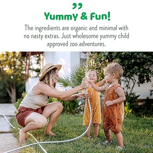 Little Bellies Organic Animal Crackers Toddler Snack (Pack of 5 x 4.58 oz Individual Packs) - Jamouz