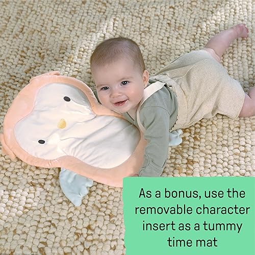 Ingenuity InLighten 5-Speed Baby Swing - Swivel Infant Seat, 5 Point Safety Harness, Nature Sounds, Lights - Nally Owl - Jamouz