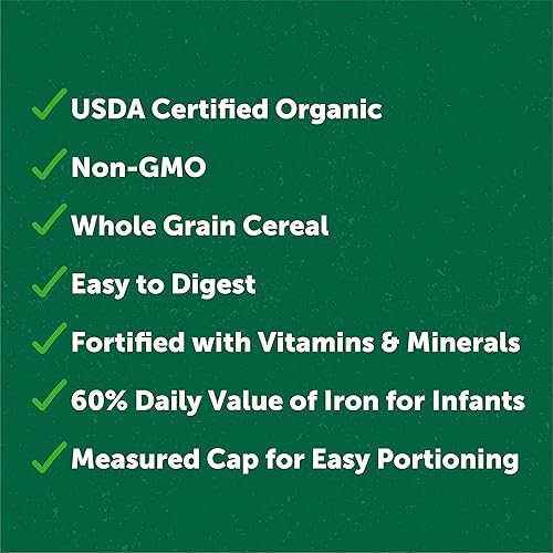 Beech-Nut Organic Oatmeal Baby Cereal Canister, 8 Ounce - Jamouz