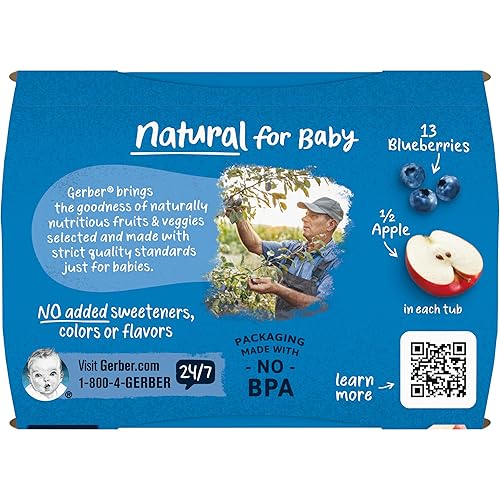 Gerber 2nd Foods Banana Blackberry Blueberry 4 Ounce Tubs, 2 Count (Pack of 8) - Jamouz