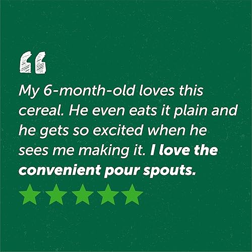 Beech-Nut Organic Oatmeal Baby Cereal Canister, 8 Ounce - Jamouz