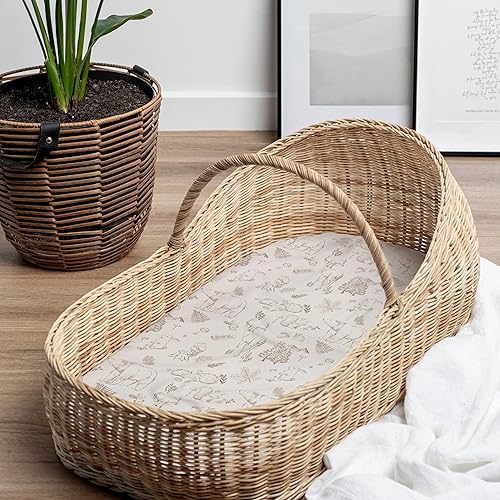 Baby Changing Pad Cover 2-Pack for Girls (Fleurette) - Premium Fitted Sheets Baby Diaper Changing Table Cover - Buttery Soft Cotton Blend - Jamouz