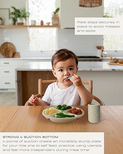 Hippypotamus Toddler Plates with Suction - 100% Food-Grade Silicone Baby Plates - Microwave & Dishwasher Safe - BPA Free - Set of 3 (Sage/Blush/Nude) - Jamouz