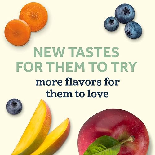 Gerber Organic Baby Food Pouches, Toddler, Banana Raspberry Yogurt Vanilla, 3.5 Ounce (Pack of 12) - Jamouz