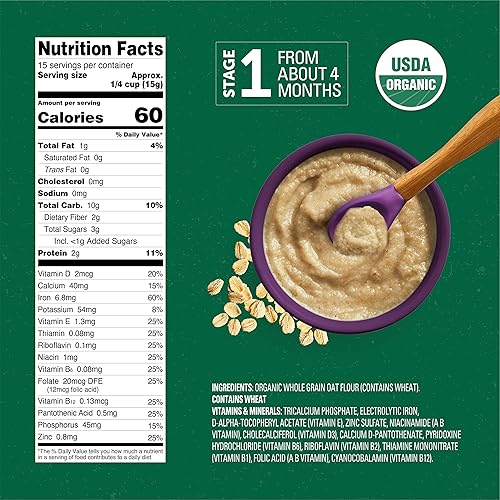 Beech-Nut Organic Oatmeal Baby Cereal Canister, 8 Ounce - Jamouz