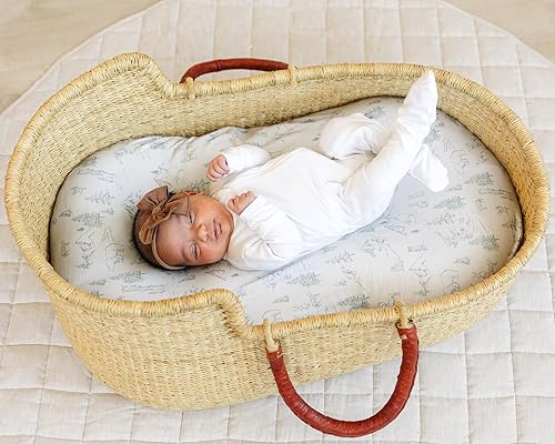 Baby Changing Pad Cover 2-Pack for Girls (Fleurette) - Premium Fitted Sheets Baby Diaper Changing Table Cover - Buttery Soft Cotton Blend - Jamouz