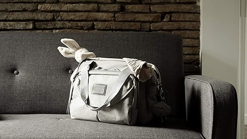 BEABA Geneva Diaper Bag, Multifunction Baby Diaper Bag, Includes Removable Strap for Stroller, Changing Pad, and Insulated Pouch, (Sage) - Jamouz