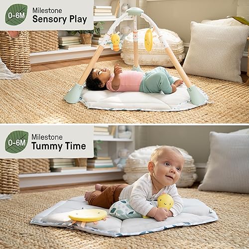 Ingenuity Tummy-to-Toes 6-in-1 Milestone Center, Play Gym, Foldable Mat, Music and Nature Sounds, Lights, Activity Jumper, Table, Playhouse, for Ages 0-48 Months - Jamouz