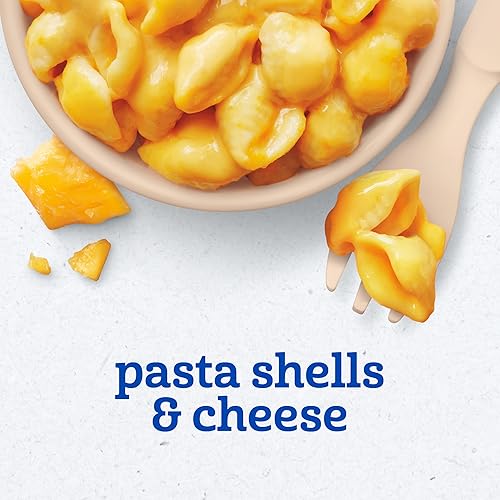 Gerber Mealtime for Toddler Mashed Potatoes & Gravy with Roasted Chicken & Carrots, 6.6 Ounce (Pack of 8) - Jamouz