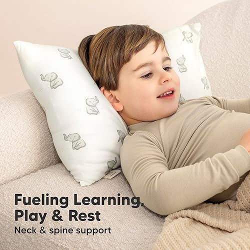 Toddler Pillow with Pillowcase - 13x18 My Little Cuddly Pillow, Viscose Derived From Bamboo Nursery Toddler Pillows for Sleeping,Kids Pillow,Small Travel Pillows,Mini Toddler Bed Pillow (Meadow) - Jamouz