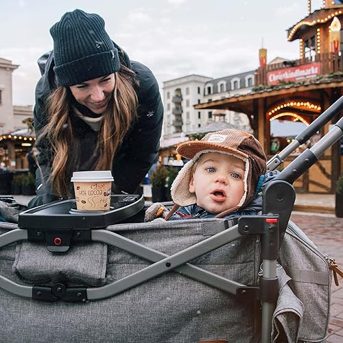 Busy Bee Foldable Wagon Stroller for 2 Kids, Push Pull Collapsible Kids Wagon with Adjustable Handle Bar, Removable Canopy, 5-Point Harness, Shock-Absorbing Wheels, Grey - Jamouz