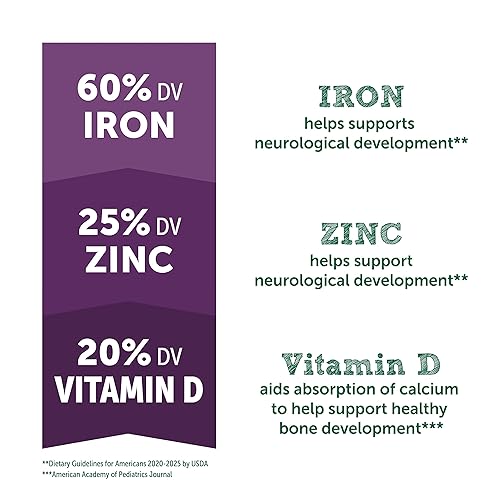 Beech-Nut Organic Oatmeal Baby Cereal Canister, 8 Ounce - Jamouz