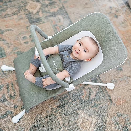 Baby Delight Highland Baby Bouncer | Infant | 0 – 6 Months | 3-Position Recline | Pebble Grey - Jamouz