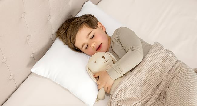 toddler pillow pillows for sleeping 2 year old small travel essential pillowcase daycare kids