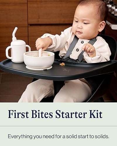 Lalo First Bites Silicone Baby Feeding Set - Baby Led Weaning Supplies - Non-Toxic Silicone - Includes 2 Bibs, 2 Spoons, Training Cup, Suction Plate and Bowl - 6 Pieces - Sage - Jamouz