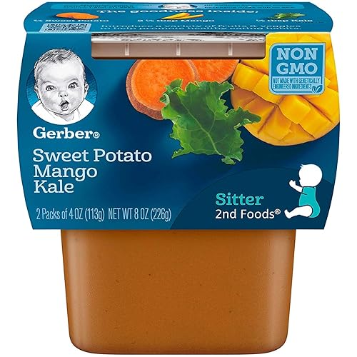 Gerber 2nd Foods Banana Blackberry Blueberry 4 Ounce Tubs, 2 Count (Pack of 8) - Jamouz