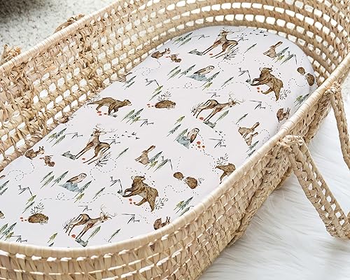 Baby Changing Pad Cover 2-Pack for Girls (Fleurette) - Premium Fitted Sheets Baby Diaper Changing Table Cover - Buttery Soft Cotton Blend - Jamouz