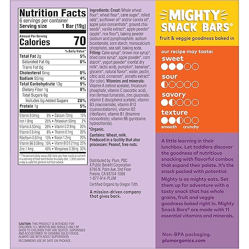 Plum Organics Mighty Snack Bars - Blueberry - 0.67 oz Bars (Pack of 48) - Organic Fruit and Vegetable Toddler Food Snack Bars - Jamouz