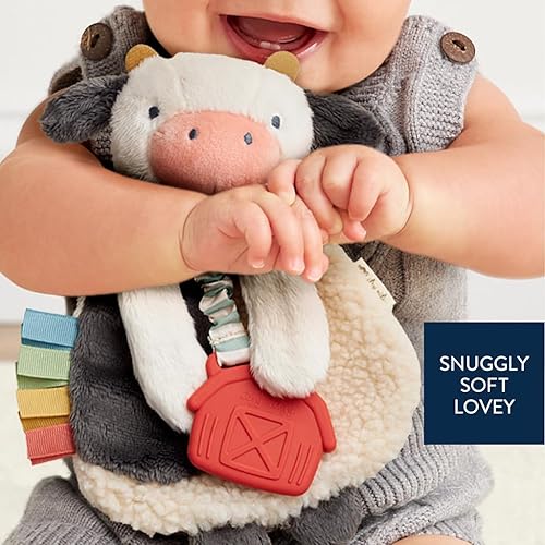 Itzy Ritzy - Itzy Lovey Including Teether - Baby Lovey with Teether, Textured Ribbons & Dangle Arms - Features Crinkle Sound, Sherpa Fabric and Minky Plush (Pink Bunny) - Jamouz