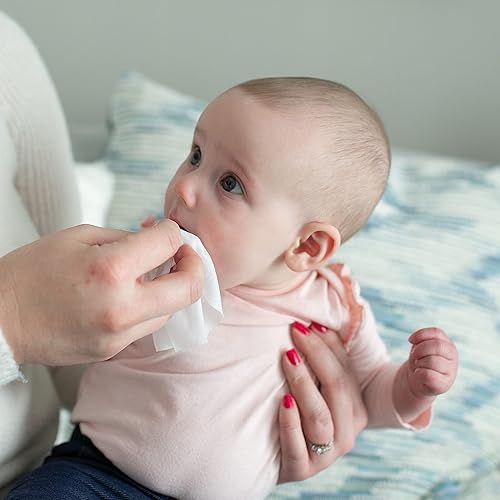 Dr. Brown's Healthy Wipes for Babies and Toddlers, 40 Count, Variety 3 Pack - Jamouz