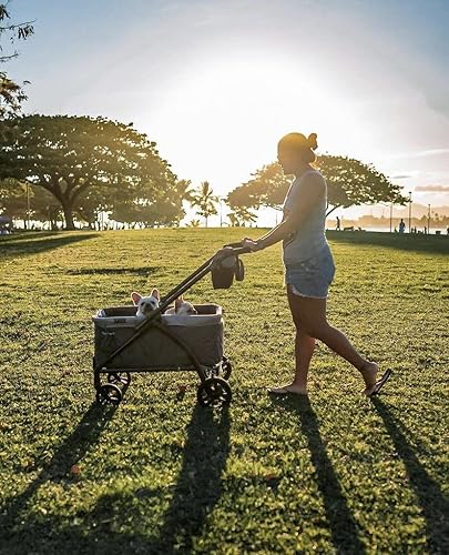 Baby Trend Expedition 2-in-1 Stroller Wagon PLUS, Ultra Marine - Jamouz