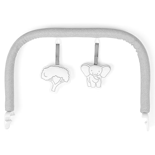 Baby Delight Highland Baby Bouncer | Infant | 0 – 6 Months | 3-Position Recline | Pebble Grey - Jamouz