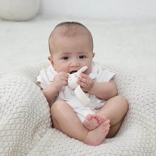 Pacifier Clip, 2 Pack Baby Pacifier Holder for Boys and Girls Fits Many Pacifiers & Baby Teething Toys, Ideal Baby Gift (Puppy & Bunny) - Jamouz